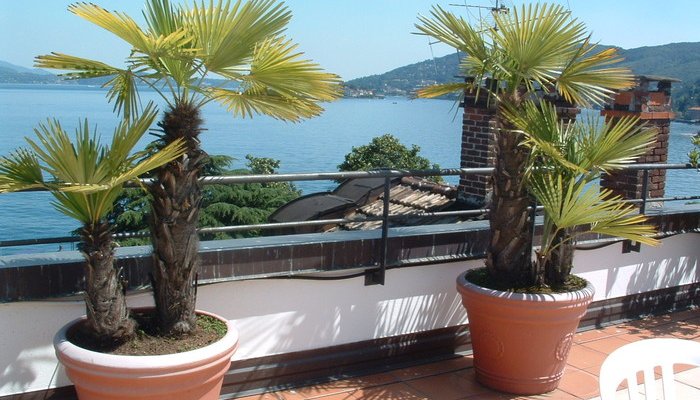 Residence Hotel Holiday di Residence Lago Maggiore srl 9806